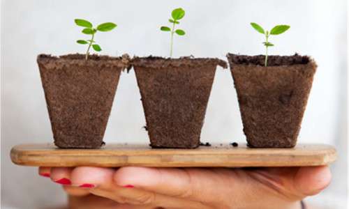 Nutrient Chelation and Absorption with Polyaspartic Acid (PASP): Enhancing Plant Nutrition Efficiency