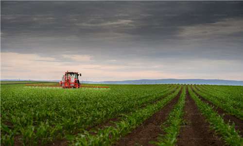 Polyaspartic Acid (PASP) as a Key Fertilizer Synergist for Boosting Crop Growth