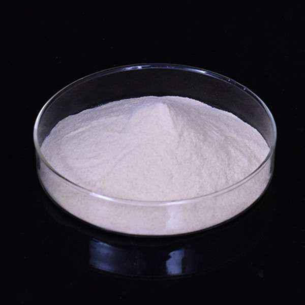 Xanthan Gum supplier for cosmetics and personal care