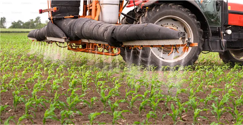 Polyglutamic Acid: 6 Powerful Benefits For Improving Crop Growth