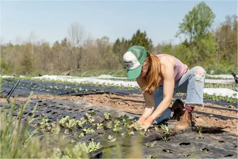 Enhancing soil health with Polyglutamic Acid for resilient crops