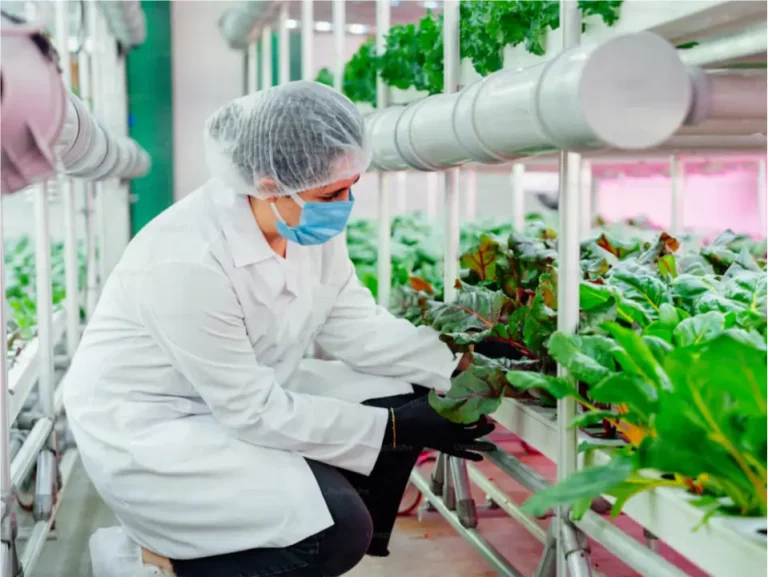 Polyglutamic Acid for improving crop yield and soil quality