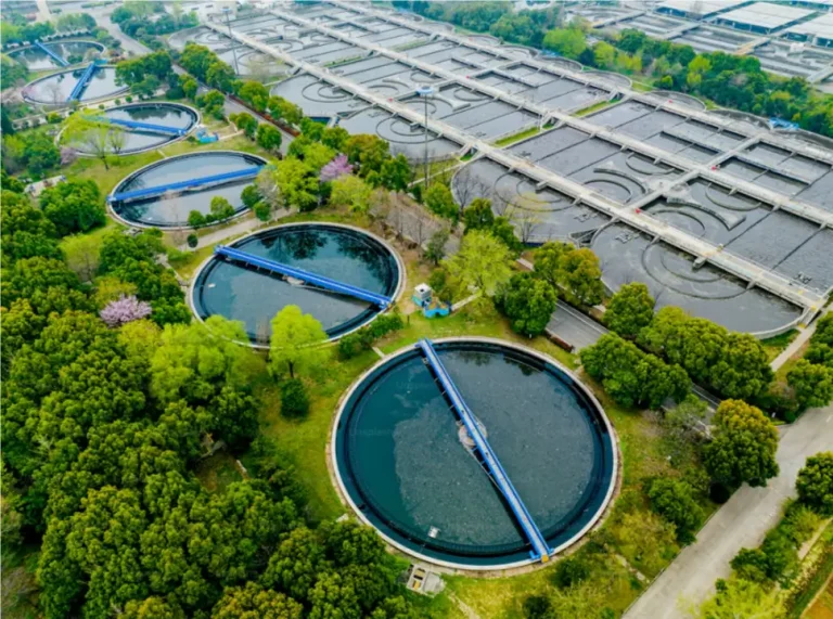 Sodium Phytate vs EDTA in water treatment