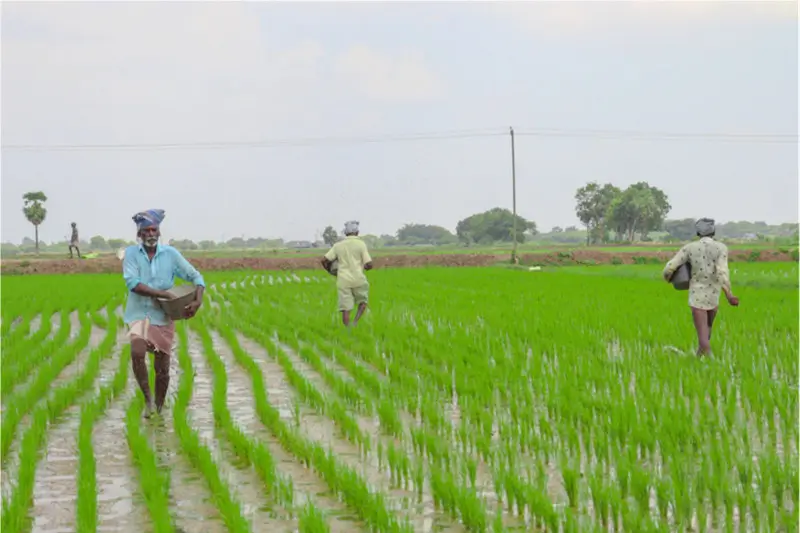 PASP-Na for agriculture