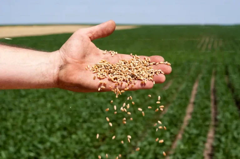 how does sodium polyaspartate improve fertilizer efficiency